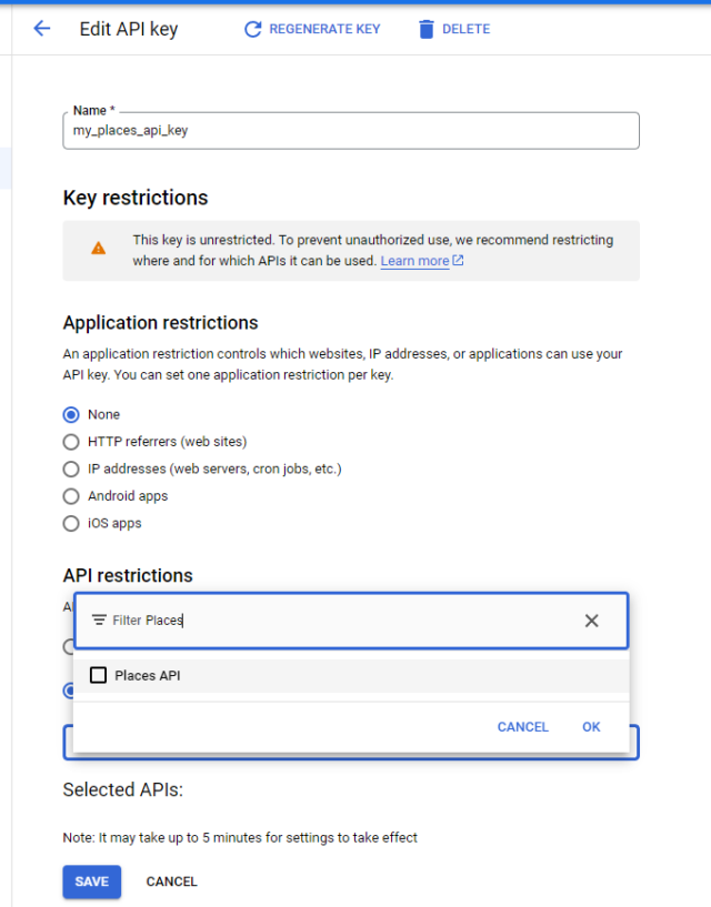 Google Address Search: Restrict the key to only use Places API:
